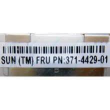 Серверная память SUN (FRU PN 371-4429-01) 4096Mb (4Gb) DDR3 ECC в Находке, память для сервера SUN FRU P/N 371-4429-01 (Находка)