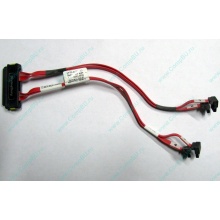 SATA-кабель для корзины HDD HP 451782-001 459190-001 для HP ML310 G5 (Находка)