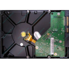 Б/У жёсткий диск 1Tb Western Digital WD10EVVS Green (WD AV-GP 1000 GB) 5400 rpm SATA (Находка)
