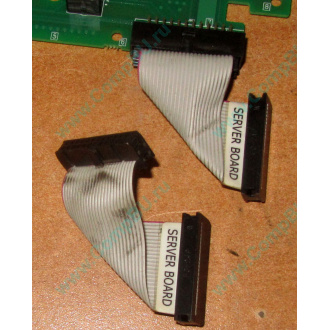 6017B0045701 Шлейф 24 pin для Intel C74974-401 T0043401-B01 корпуса SR2400 (Находка)