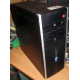 БУ компьютер HP Compaq Elite 8300 (Intel Core i3-3220 (2x3.3GHz HT) /4Gb /250Gb /ATX 320W) - Находка